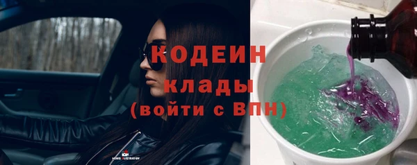 прущие грибы Абдулино