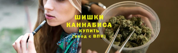 прущие грибы Абдулино