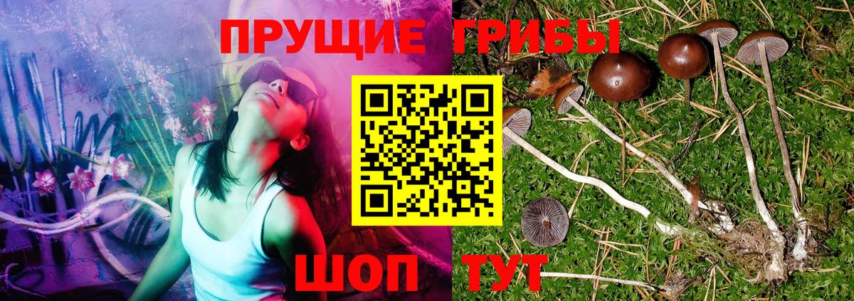 Псилоцибиновые грибы Psilocybe  продажа наркотиков  Избербаш  Вход с VPN 